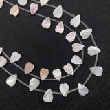 Seawater Shells Pink Petals Charm Beads 9x12mm