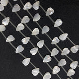 Seawater Shells Pink Petals Charm Beads 9x12mm
