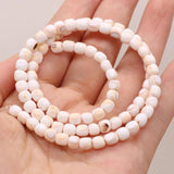 Natural Shell Irregular Beads 5-6mm for DIY Jewelry Making Necklace Earrings