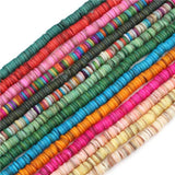 180pcs Freshwater Shell Beads Flat Round Shell Chips Disk Loose Beads