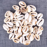 50pcs Natural Sea Shell Loose Beads Crafts Conch Shell Pendant DIY Jewelry
