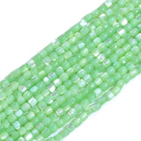 Green Shell Mother of Pearl Beads 3mm Cylindrical Shape