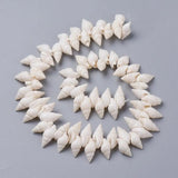 Spiral Shell Beads Strands for Jewelry Making DIY