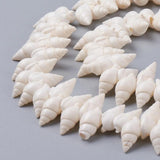 Spiral Shell Beads Strands for Jewelry Making DIY
