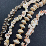 Natural Conch Bead Irregular Shape Bracelets for Women