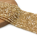 Natural Shell Pearl Faceted Conch Beads Bracelet Necklace