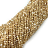 Natural Shell Pearl Faceted Conch Beads Bracelet Necklace