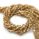 Natural Shell Pearl Faceted Conch Beads Bracelet Necklace