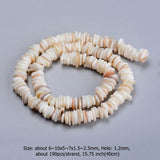 Freshwater Shell Heart Bead Strands for DIY Jewelry Making