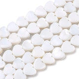 Freshwater Shell Heart Bead Strands for DIY Jewelry Making