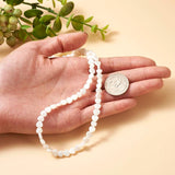 Freshwater Shell Heart Bead Strands for DIY Jewelry Making