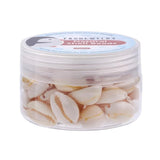 Spiral Shell Beads Oval Cowrie Shells for DIY Jewelry Making