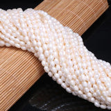 AA Rice Shape Pearl Natural Freshwater Pearl Beads Mixed 4-5mm