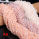 AA Rice Shape Pearl Natural Freshwater Pearl Beads Mixed 4-5mm