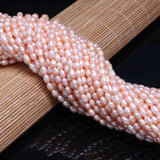 AA Rice Shape Pearl Natural Freshwater Pearl Beads Mixed 4-5mm