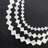 Natural Shell 8-12mm Flower Beads for DIY Jewelry Making