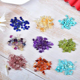 200Pcs Natural Stone Healing Crystal Chips Beads for DIY Chakra Bracelet