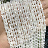 Bamboo Joint Shell Spacer Beads 4*7MM DIY Jewelry Making