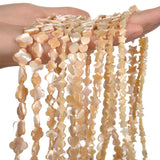 6-13MM Brown Shell Beaded Beads for Jewelry Making 32-69PCS/lot
