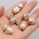 5PCS Natural Mother Of Pearl Shell Charms Plated Edge Necklace Pendant
