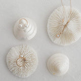 Elegant Shell Jewelry Storage Tray Organizer Holder Dish