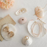 Elegant Shell Jewelry Storage Tray Organizer Holder Dish