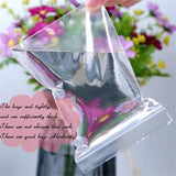 100pcs Clear Zip Plastic Poly Bags Pouch Jewelry Storage Packaging