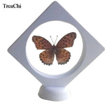 Floating Jewelry Display Case 3D PET Earrings Coin Gem Ring Holder