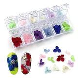 Adjustable Plastic Storage Box Case Organizer for Beads Earring Jewelry