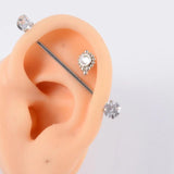 Silicone Ear Model Practice Piercing Tools Earring Display