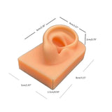 R3MC Silicone Ear Model for Piercings Practice 1:1 Display Stand