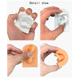 R3MC Silicone Ear Model for Piercings Practice 1:1 Display Stand