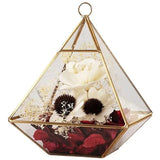 Geometric Glass Ring Jewelry Box Wedding Ring Display