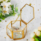 Clear Glass Jewelry Box Organize Holder Ring Necklace Bracelets Earrings Storage