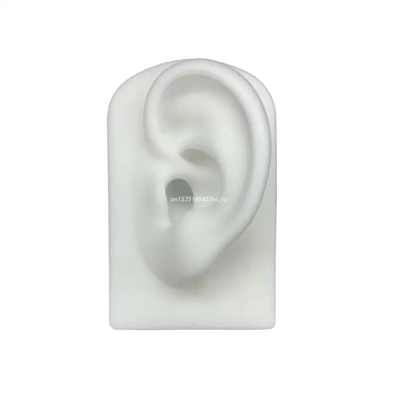 Silicone Ear Model for Hearing Aids 1:1 Human Ear Display