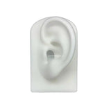 Silicone Ear Model for Hearing Aids 1:1 Human Ear Display