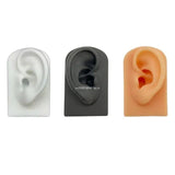 Silicone Ear Model for Hearing Aids 1:1 Human Ear Display