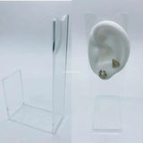 Silicone Ear Model for Hearing Aids 1:1 Human Ear Display
