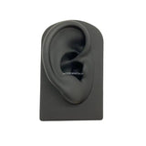 Silicone Ear Model for Hearing Aids 1:1 Human Ear Display