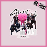 Stray Kids MAXIDENT Album Standing Sign Acrylic Stand Model Desk Decor Fans