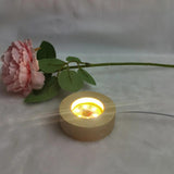 Round Wood Luminous Base Wooden LED Lamp Holder USB Interface Night Light
