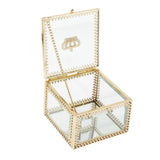 Clear Bonsai Container Planter with Cover for Flower House Decor
