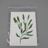 100pcs Jewelry Ziplock Plastic Bags for Candy Pack 0.05mm Thickness