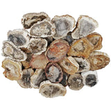 Natural Petrified Wood Stone Slab for Jewelry Making Home Decor