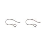 20pcs Stainless Steel Ear Hook Findings For DIY Earrings