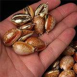 5 Natural Shell Charms Conch Cowrie Shells for DIY Jewelry Making