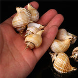 5 Natural Shell Charms Conch Cowrie Shells for DIY Jewelry Making
