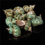 5 Natural Shell Charms Conch Cowrie Shells for DIY Jewelry Making