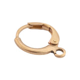 40Pcs Raw Brass French Earring Hook Ear Wire Lever Back Clasps for DIY Jewelry