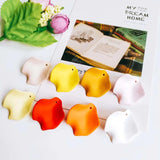Resin Plastic Pendant Earring Necklace Charms Jewelry Finding 10pcs
